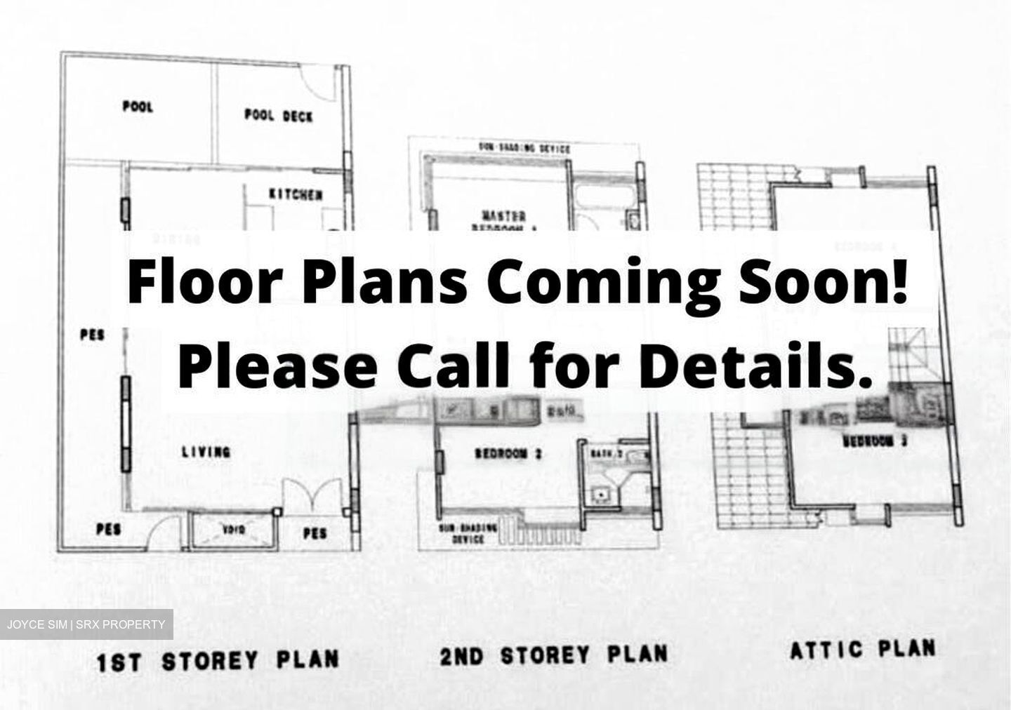 Kim Lin Park (D10), Detached #458650091